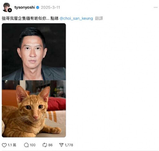 寵物情緣/Tyson Yoshi愛貓撞臉張家輝 因女友徹底變鏟屎官