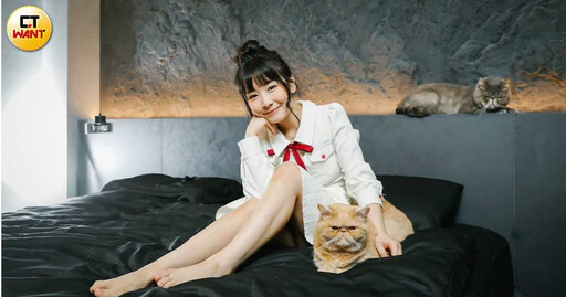 寵物情緣/電玩女神「這原因」狠斷9年情 陸子玄誠徵另一半「送房送車還送貓」