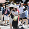 全台熱翻高溫飆36度 周六鋒面到變天「2地轉間歇性陣雨」
