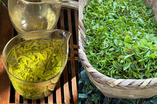 茶人茶事╱廬山雲霧出好茶 九江茶市品佳茗