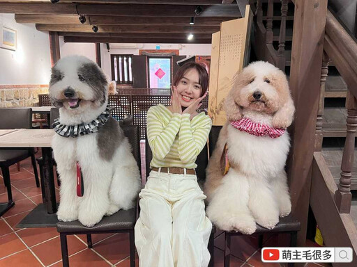 寵物情緣/資深犬奴粟粟3狗當嫁妝 感性曝:能成為家人是一種緣分