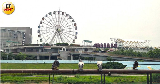 北士科翻身4/從三合院、中古車產業鏈華麗變身 輝達總部遙望摩天輪