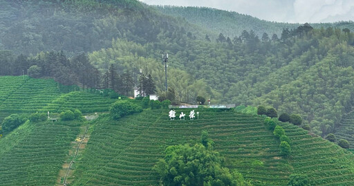 茶人茶事╱天下禪茶出徑山 一杯通透在人間