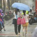 下雨撐傘也不怕後背包濕掉！ 日本「1好物」引網大讚：2025年最棒發明