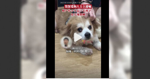 丈夫離婚、兒子遠走…她寫遺囑竟「留45萬給狗」 背後原因超催淚!