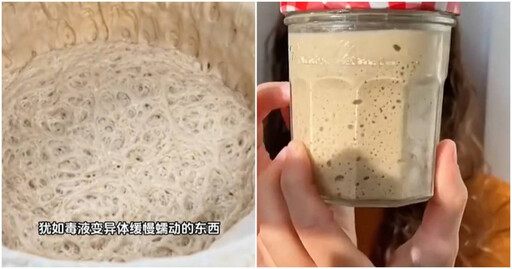 不用遛、不拆家 年輕人瘋養酵母!最後還能做麵包
