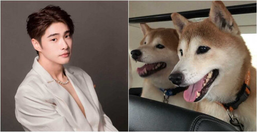 寵物情緣/在媽媽肚子裡就有狗狗陪 朴靖恆獨子不孤單:牠們就是我的兄弟姊妹