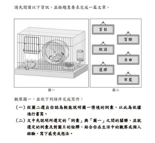 國中會考作文「2隻倉鼠」 753人拿0級分原因曝…創近年新低
