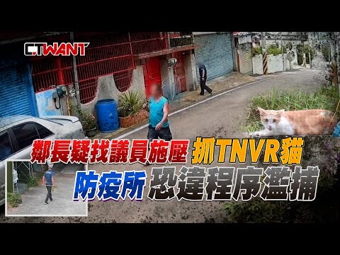 鄰長疑找議員施壓抓TNVR貓 防疫所恐違程序濫捕