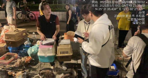 港女狂養23隻寵物!返鄉竟棄養8貓1犬 動保處開罰55萬、列黑名單