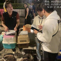 港女狂養23隻寵物！返鄉竟棄養8貓1犬 動保處開罰55萬、列黑名單