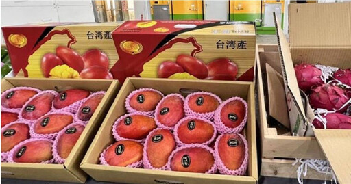 台灣農產品外銷跨大步! 芒果、芭樂獲准進口歐盟