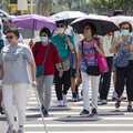 典型夏季型天氣要來了！未來一周「誕生新颱風」機率曝