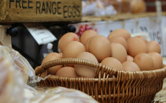 雞蛋吃法是關鍵！醫師示警「別再用油煎炸」 恐誘發心血管疾病