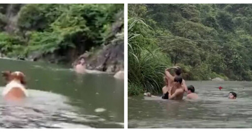 7個月萌犬見人溺水奮勇跳河救人 事後露出燦笑網狂讚:牠知道自己立功了