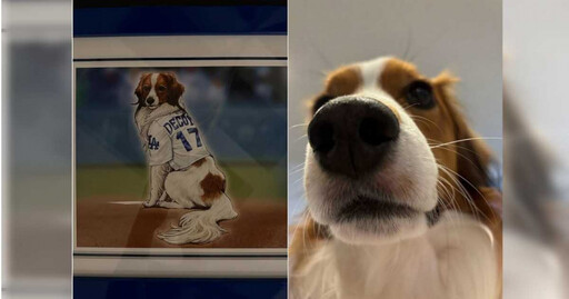 大谷翔平愛犬DECOY現身「遊戲王」卡牌 一票人敲碗:好想要