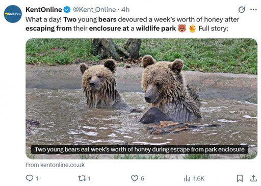 英國野生動物園驚傳棕熊脫逃 一週蜂蜜被吃光觸發警力搜索