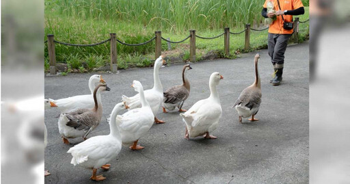 北市動物園暑假周六開園至晚上9時 一票人嘆「散步而已」!園方回應了