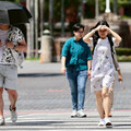 明南高屏花飆36度 午後水氣增！多地濕答答「3區雨最大」