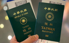 7月新制一次看!線上申換護照放寬條件 家貓可不打狂犬疫苗