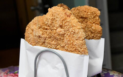 726大罷免結果出爐「牠成最大受害者」 網笑：台灣人又在賭