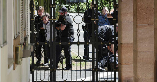 不顧抗議聲浪!德國動物園殺12隻狒狒 原因曝光