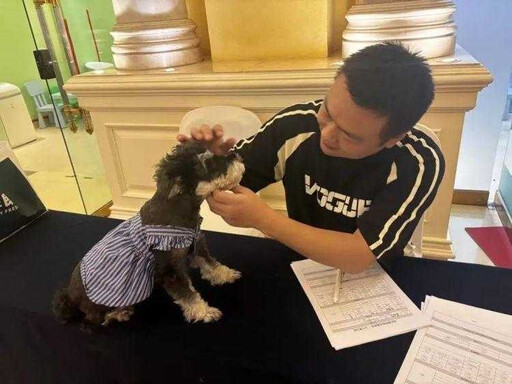 創新服務或藏風險?狗狗陪睡收2千元日薪 武漢寵物友好酒店方案遭熱議