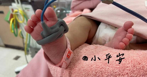 早產女嬰「小平安」轉院數萬人聲援 母曝取名故事:她再回來找我