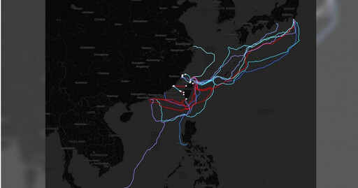網速變慢?台海底電纜又故障1條 他揭今年8條被切斷:需時間修復