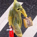 高溫飆38度！明起大雨狂炸4天 雙颱最新路徑、生成機率曝