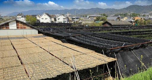 茶人茶事／幕府大將軍御用茶500年傳承 日本京都宇治茶上林三入傳奇