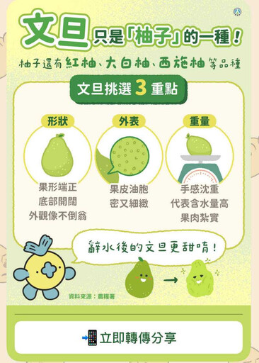 「柚子=文旦?」一半人答錯 教育部曝挑選3大重點