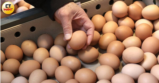 15萬顆毒雞蛋流竄！市場婆媽怕爆問「散裝蛋怎麼分辨？」 菜販出面解答了