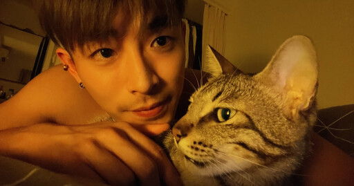 寵物情緣／愛貓主動翻出「珍奶肚」 刺刺獲情緒價值：被需要的感覺很好