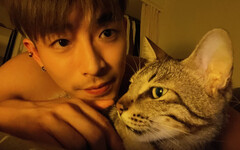 寵物情緣／愛貓主動翻出「珍奶肚」 刺刺獲情緒價值：被需要的感覺很好