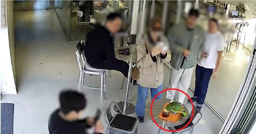 全球剩4000隻！瀕危鸚鵡飛進咖啡廳狂喝客人咖啡 警方緊急救援