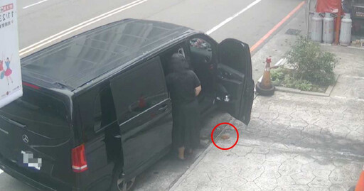 女駕駛「長裙掩護」路邊炸屎留一坨! 監視器全拍下網驚呆