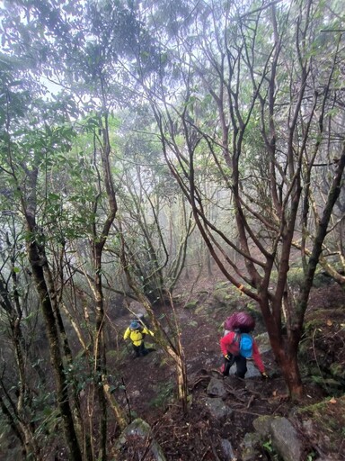 51歲女揪團爬卑南主山「高山症發作」 遭7同伴丟包