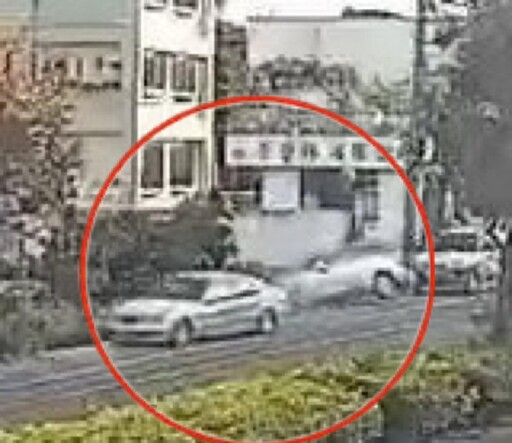 影/芬園5老小烏龜翻「飛墜荔枝園」 事發時還撞了路邊車