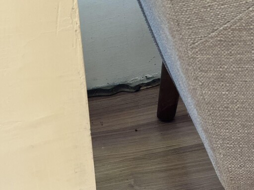 台中龍井圖書館驚見「30cm眼鏡蛇」 女看書遭咬傷腳