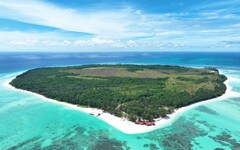 環灘島將成「世界第一的零碳島」 直擊復育海龜、保護海洋進行式