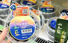 把不可能變可能！全家聯手「山丘藍」藍莓霜淇淋開賣日曝光 自己種的台灣藍莓最好吃