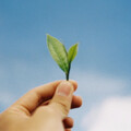 5月上市櫃企業永續十大聲量！戴資穎植樹加分助攻