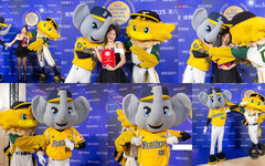 職棒不只拚戰績、吉祥物！中信兄弟、台鋼雄鷹話題全壘打招式一次看