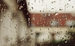 除了除濕機...十大便宜好物推薦