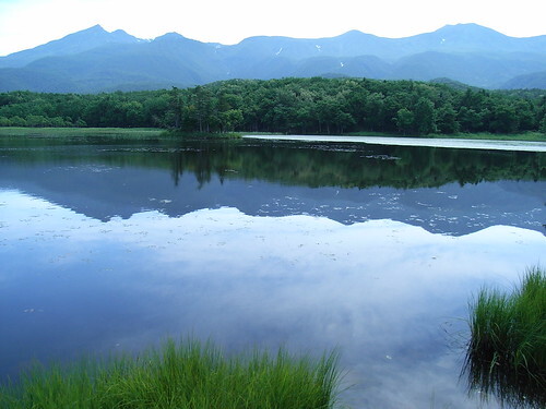 日本北海道的知床半島 49,024位地主的森林夢想