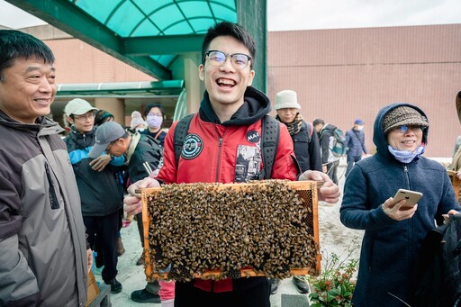 Bee friendly! 全球蜂群大崩潰，七個方法幫助蜂類度過難關