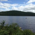 50年前噴藥控制蟲害 今加拿大湖泊仍驗出超量DDT