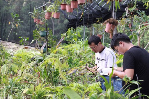 [地球日選書]「植物園方舟計畫」為台灣瀕臨滅絕的種植物爭取時間