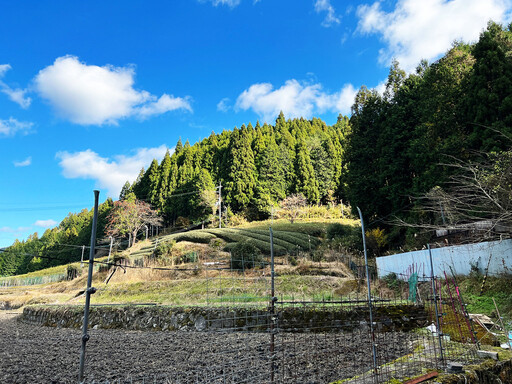日本千年林業的未來之路
